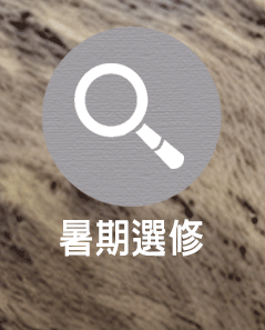 _LO綤